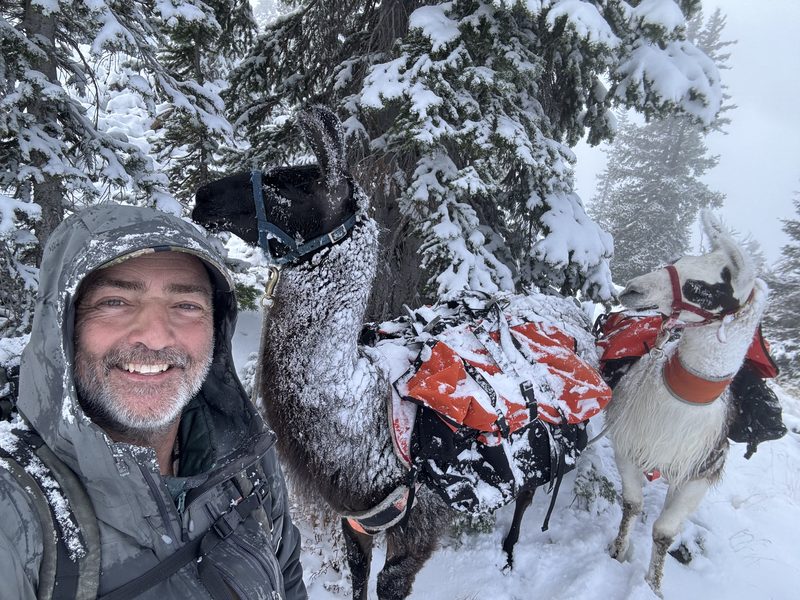 Darin in the snow with two loaded pack llamas
